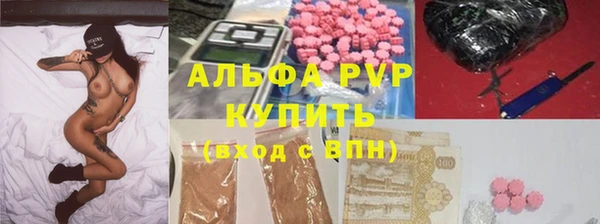 гашик Пересвет