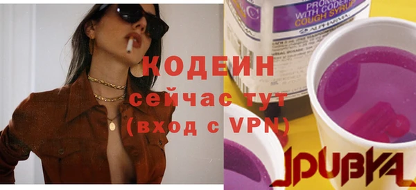 apvp Пестово