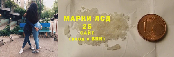 гашик Пересвет