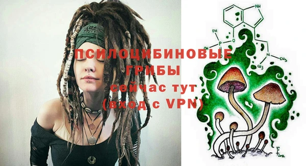 apvp Пестово