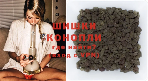 гашик Пересвет