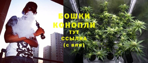 apvp Пестово