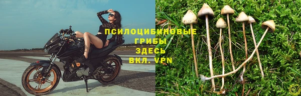 амф Бутурлиновка