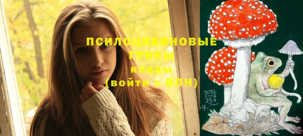 гашик Пересвет