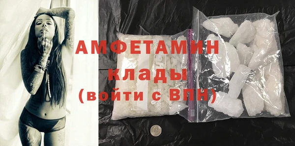 гашик Пересвет