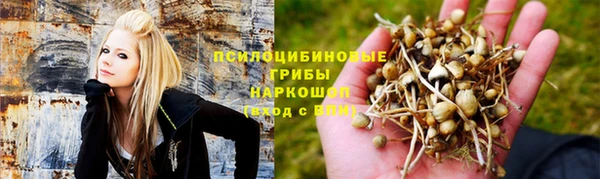 гашик Пересвет