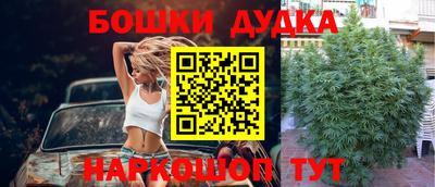 твердый Новозыбков