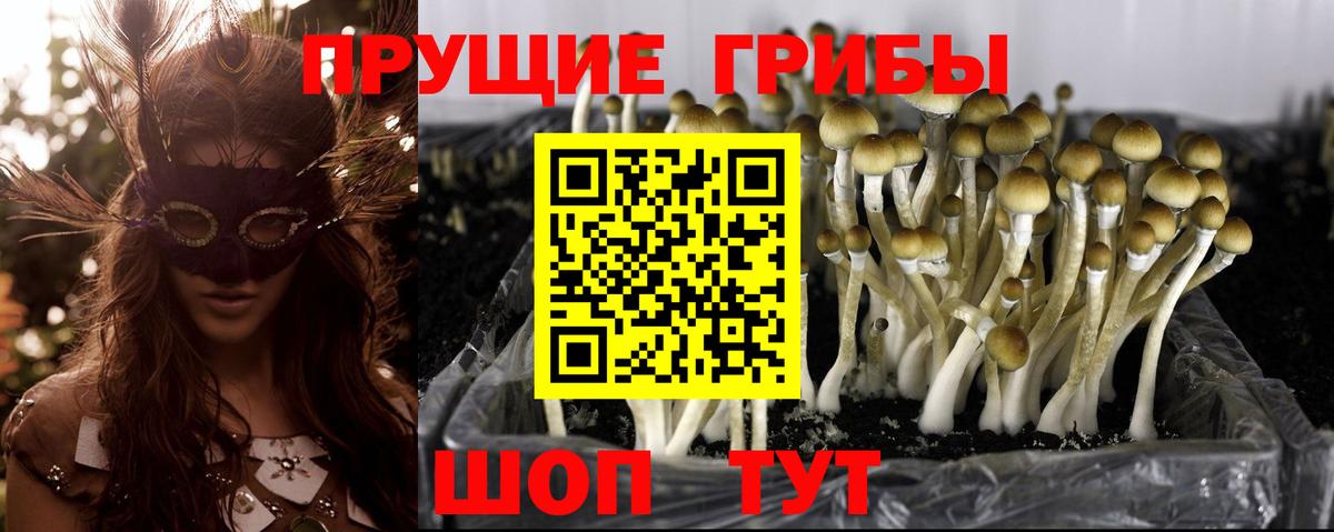 Псилоцибиновые грибы мухоморы  Вход с VPN  Махачкала 