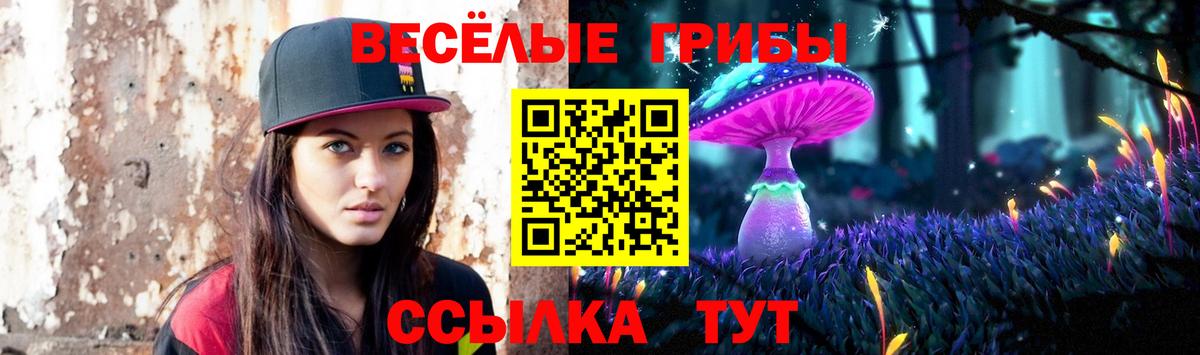 Псилоцибиновые грибы мухоморы Махачкала