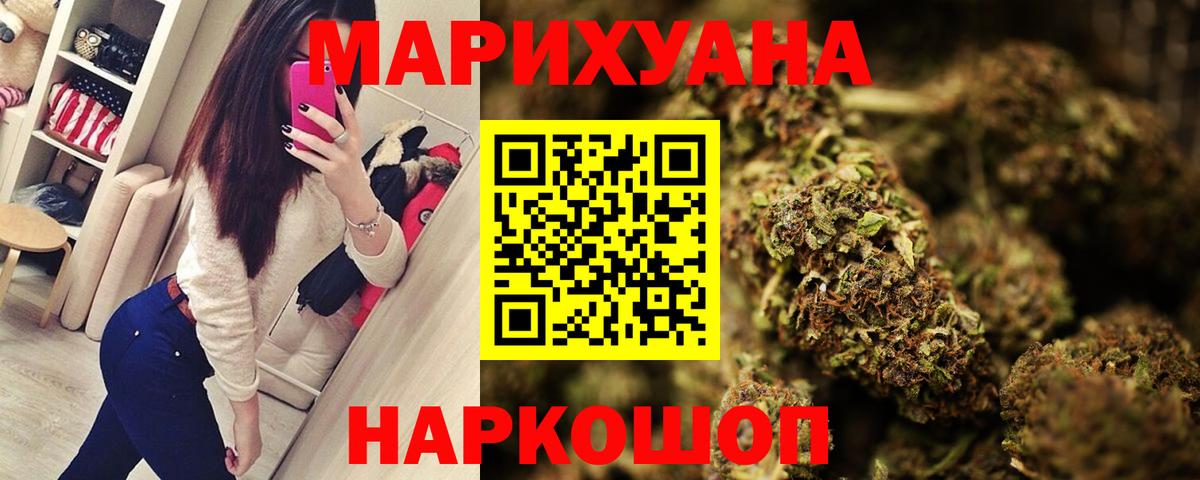 Конопля конопля Махачкала